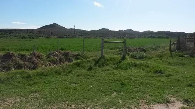 0 Bedroom Property for Sale in Ladismith Rural Western Cape